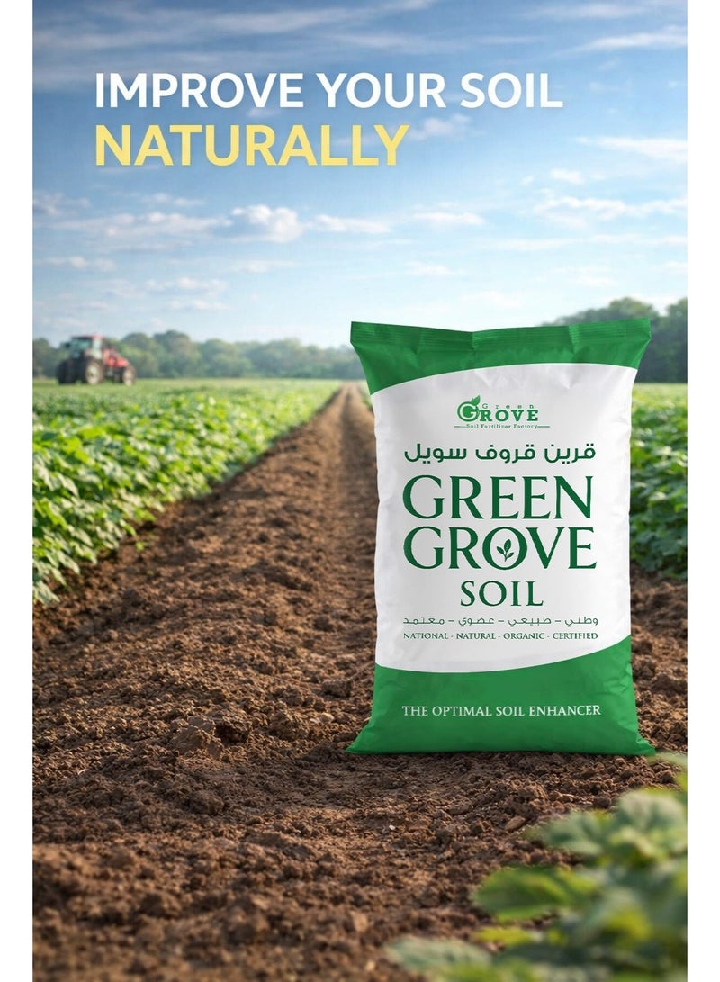 Green grove soil for agriculture - Image 2